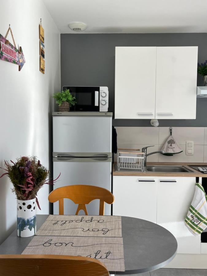Apartamento Appt calme ensoleillé fonctionnel Saintes-Maries-de-la-Mer Exterior foto